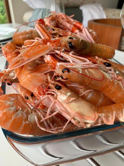Blar Na Leisg, Self Catering Lodge 2. Drumbeg 外观 照片